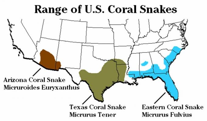Врсте и распрострањеност кораљних змија у Сједињеним Државама