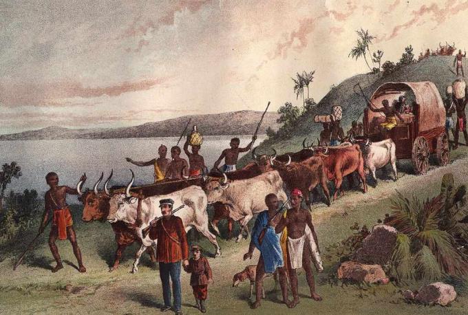 око 1855: Долазак британског истраживача, Давида Ливингстона и забава на језеро Нгами.