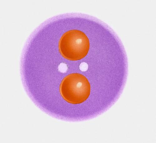 Пи-плус мезон, врста хадрона, који приказује кваркове (у наранџастој боји) и глуоне (у белој боји)
