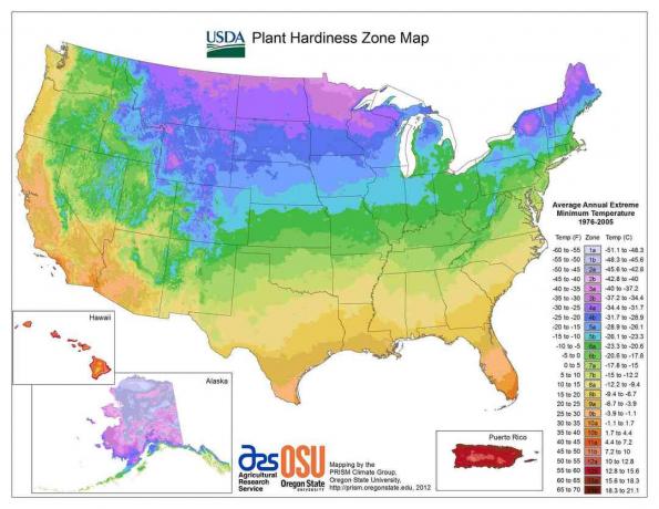 Мапа зоне чврстоће биљака у САД