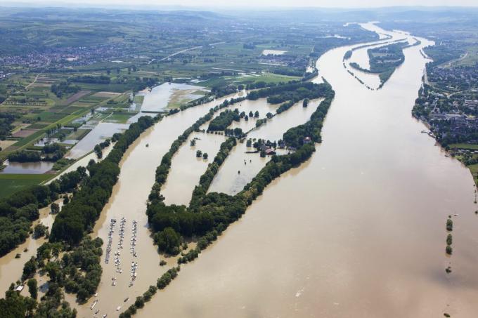 Немачка, Хесен, Елтвил, поплава острва реке Рајне Коенигсклинг Ауе, ваздушна фотографија
